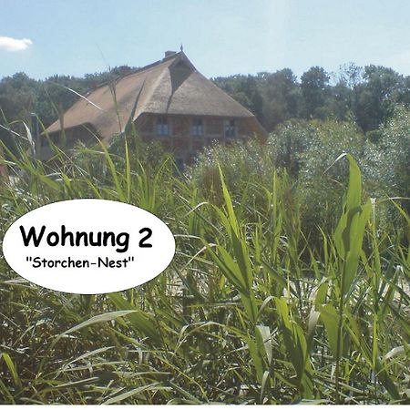Alte Schule Ludwigsburg Apartment Loissin Стая снимка